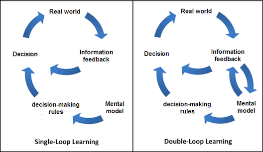 Double-Loop Learning